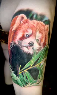 Tattoo portfolio image 15 by Angelo