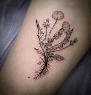 Tattoo portfolio image 18 by Liz